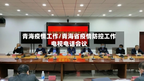 青海疫情工作/青海省疫情防控工作电视电话会议