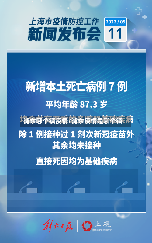 浦东哪个镇疫情/浦东疫情是哪个镇