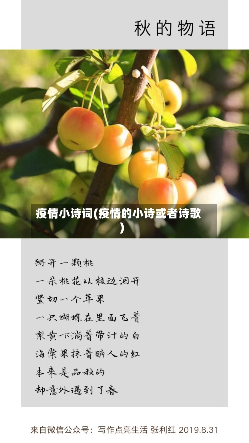 疫情小诗词(疫情的小诗或者诗歌)