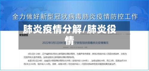 肺炎疫情分解/肺炎役情