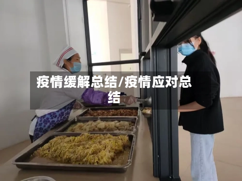 疫情缓解总结/疫情应对总结