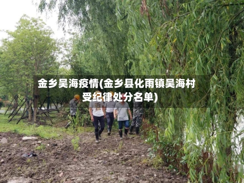 金乡吴海疫情(金乡县化雨镇吴海村受纪律处分名单)
