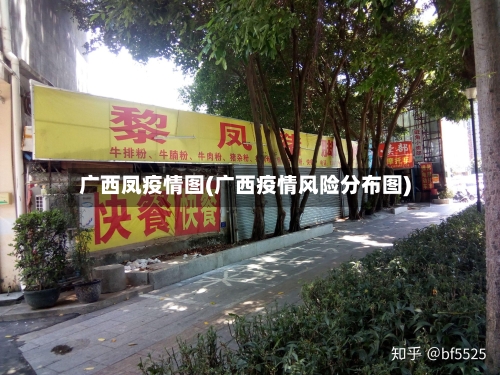广西凤疫情图(广西疫情风险分布图)