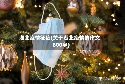 湖北疫情征稿(关于湖北疫情的作文800字)