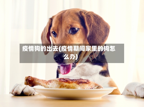 疫情狗的出去(疫情期间家里的狗怎么办)