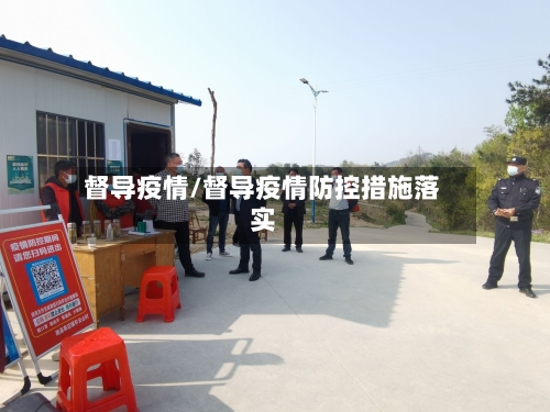 督导疫情/督导疫情防控措施落实