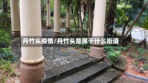 丹竹头疫情/丹竹头是属于什么街道