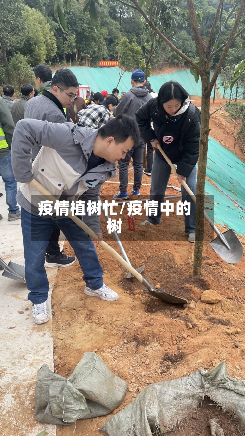 疫情植树忙/疫情中的树