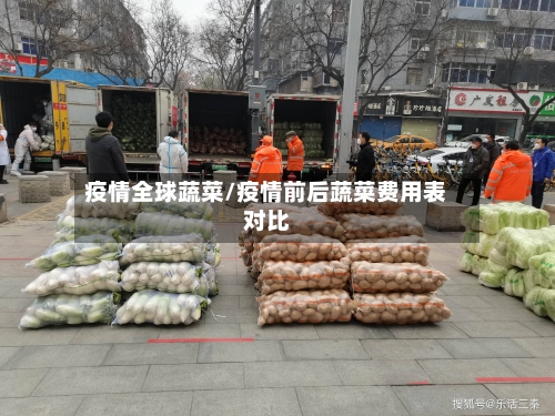 疫情全球蔬菜/疫情前后蔬菜费用表对比