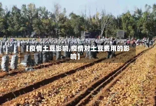 【疫情土豆影响,疫情对土豆费用的影响】