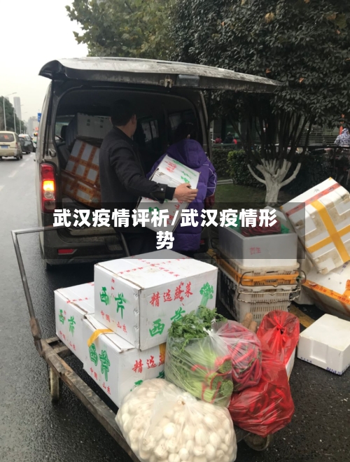 武汉疫情评析/武汉疫情形势