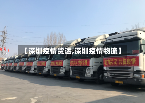 【深圳疫情货运,深圳疫情物流】