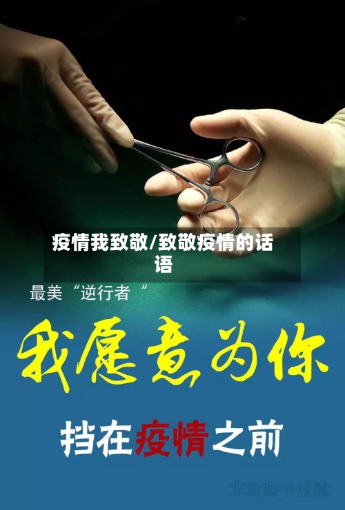 疫情我致敬/致敬疫情的话语