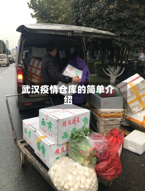 武汉疫情仓库的简单介绍