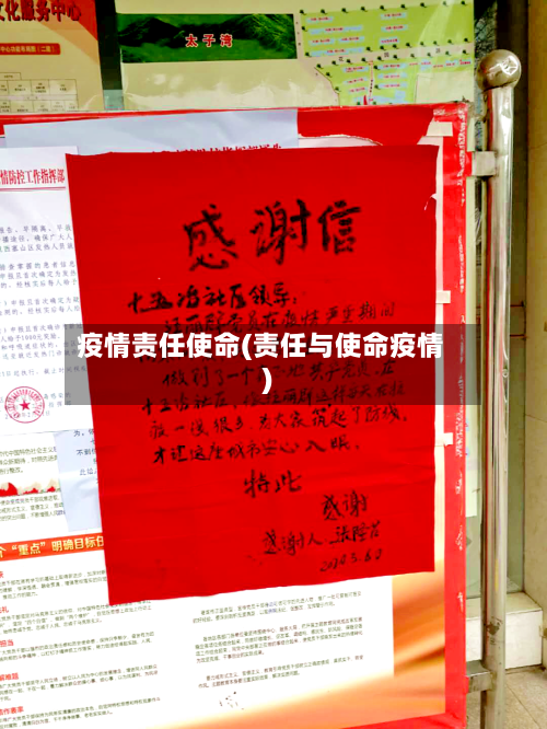 疫情责任使命(责任与使命疫情)