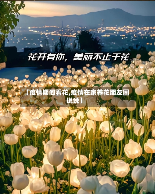 【疫情期间看花,疫情在家养花朋友圈说说】