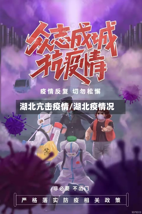 湖北亢击疫情/湖北疫情况