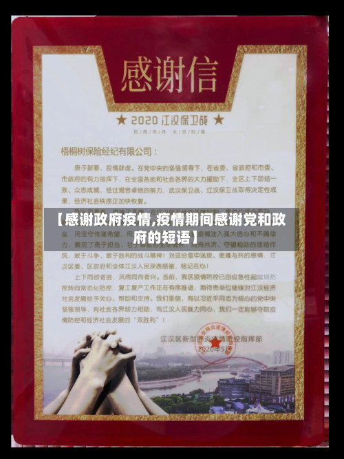 【感谢政府疫情,疫情期间感谢党和政府的短语】